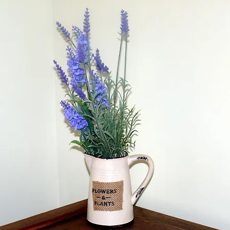 Petit Mas Solelh Couette-café *