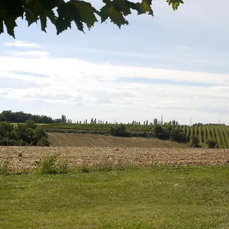 Petit Mas Solelh